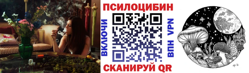 Псилоцибиновые грибы мицелий  купить   Катав-Ивановск 